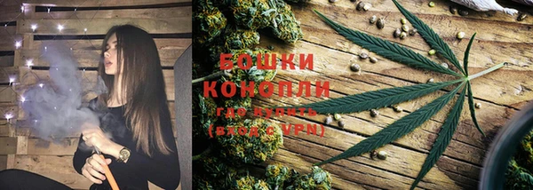 МДПВ Касимов