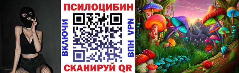 Купить где  Любань  Псилоцибиновые грибы Cubensis 
